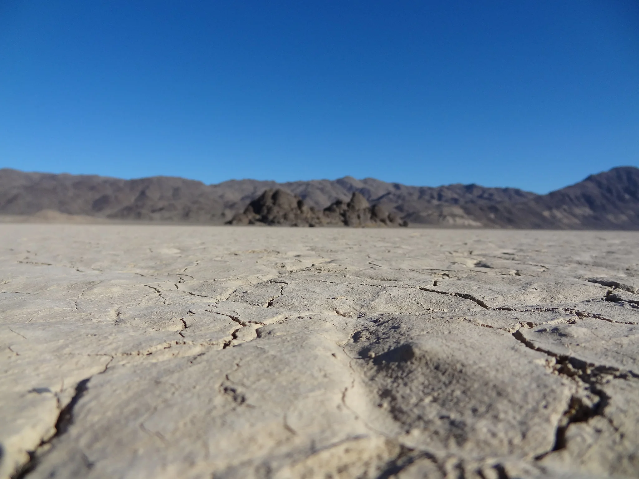 DV Background.jpg