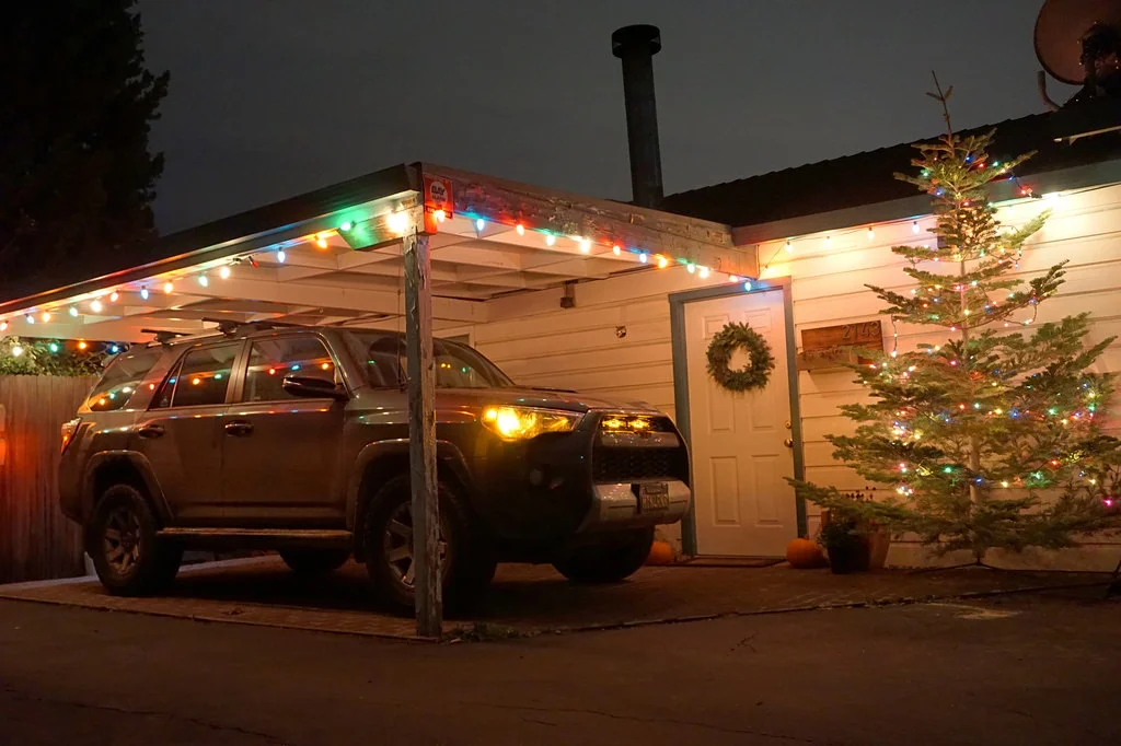 The Christmas Tree Hunt - December 2016