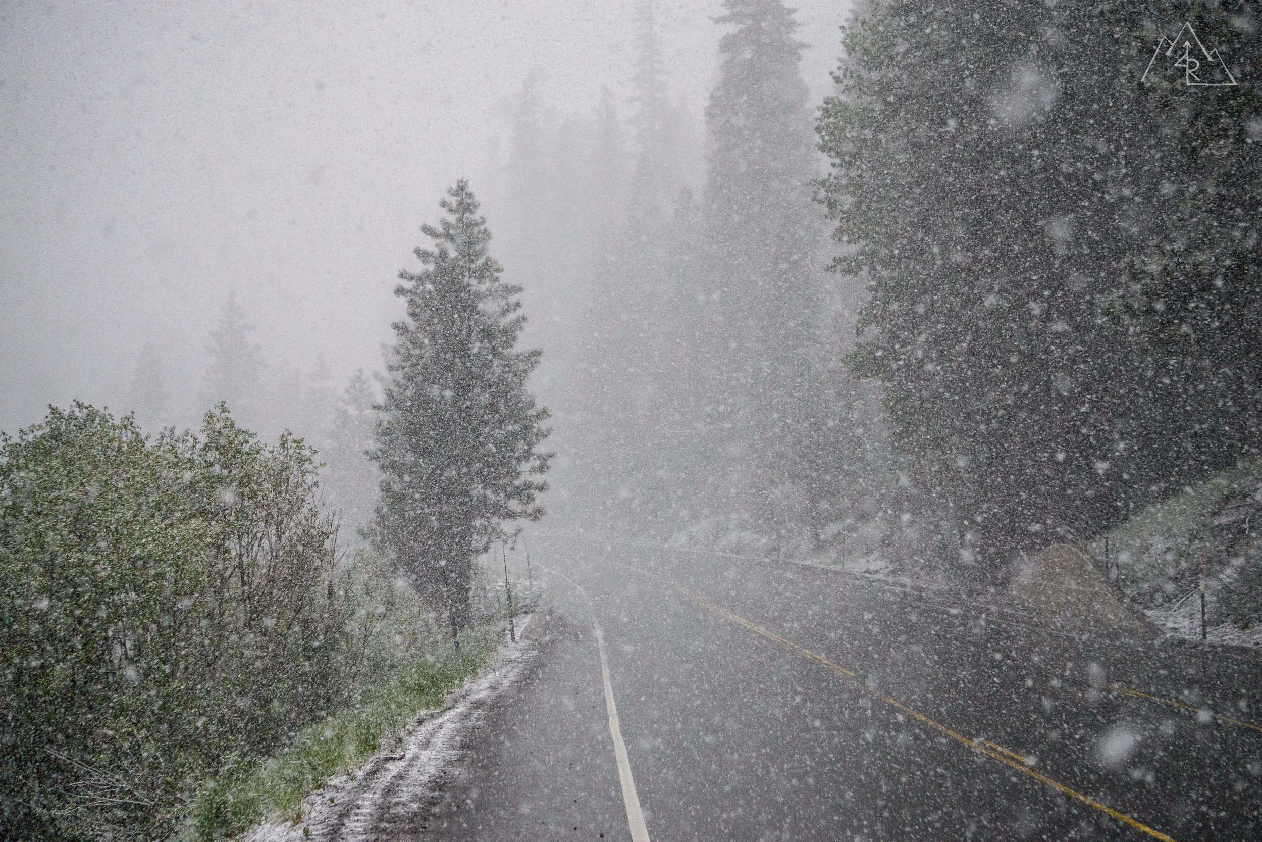 June Whiteout-23.jpg