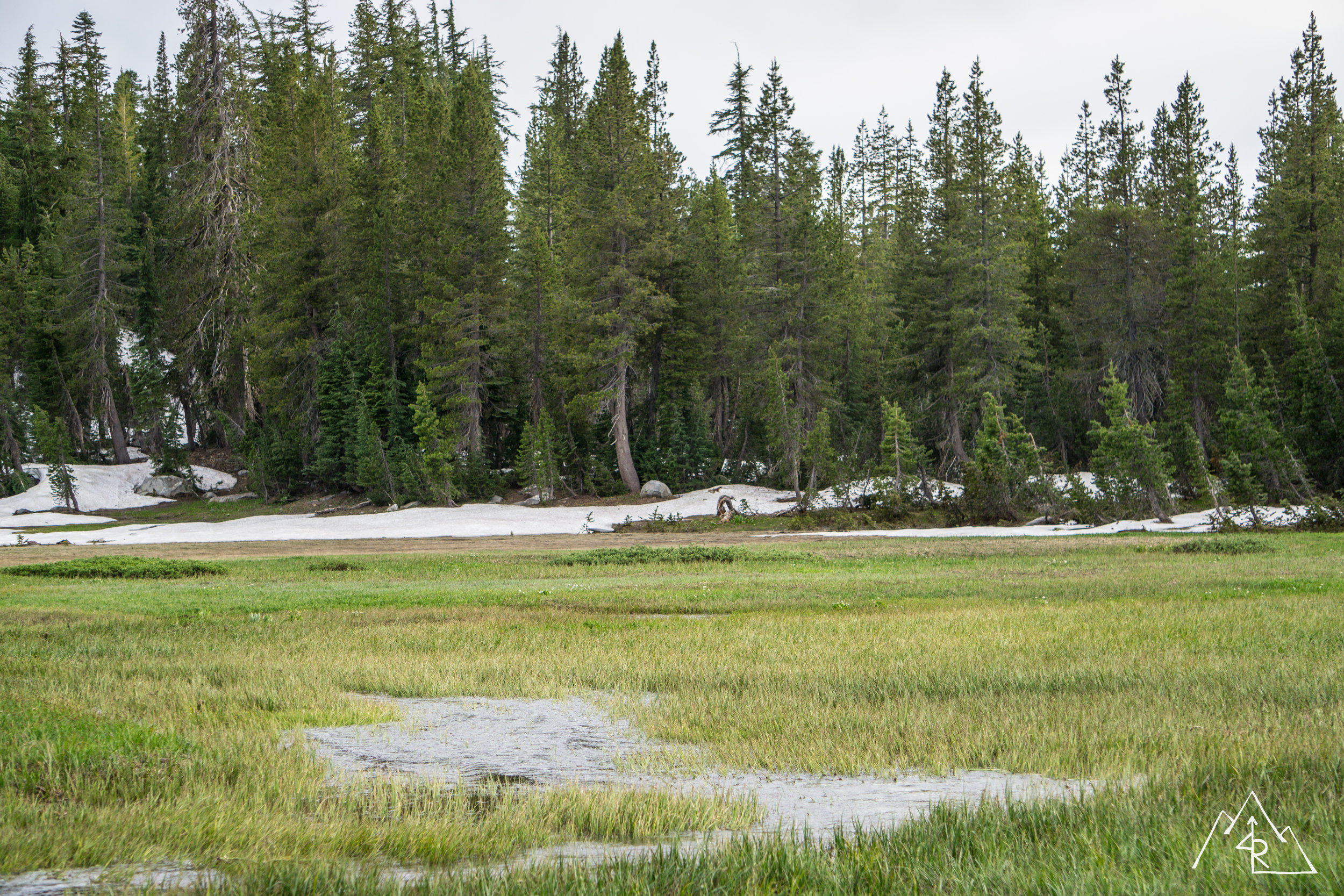SierraExplore0717-87.jpg