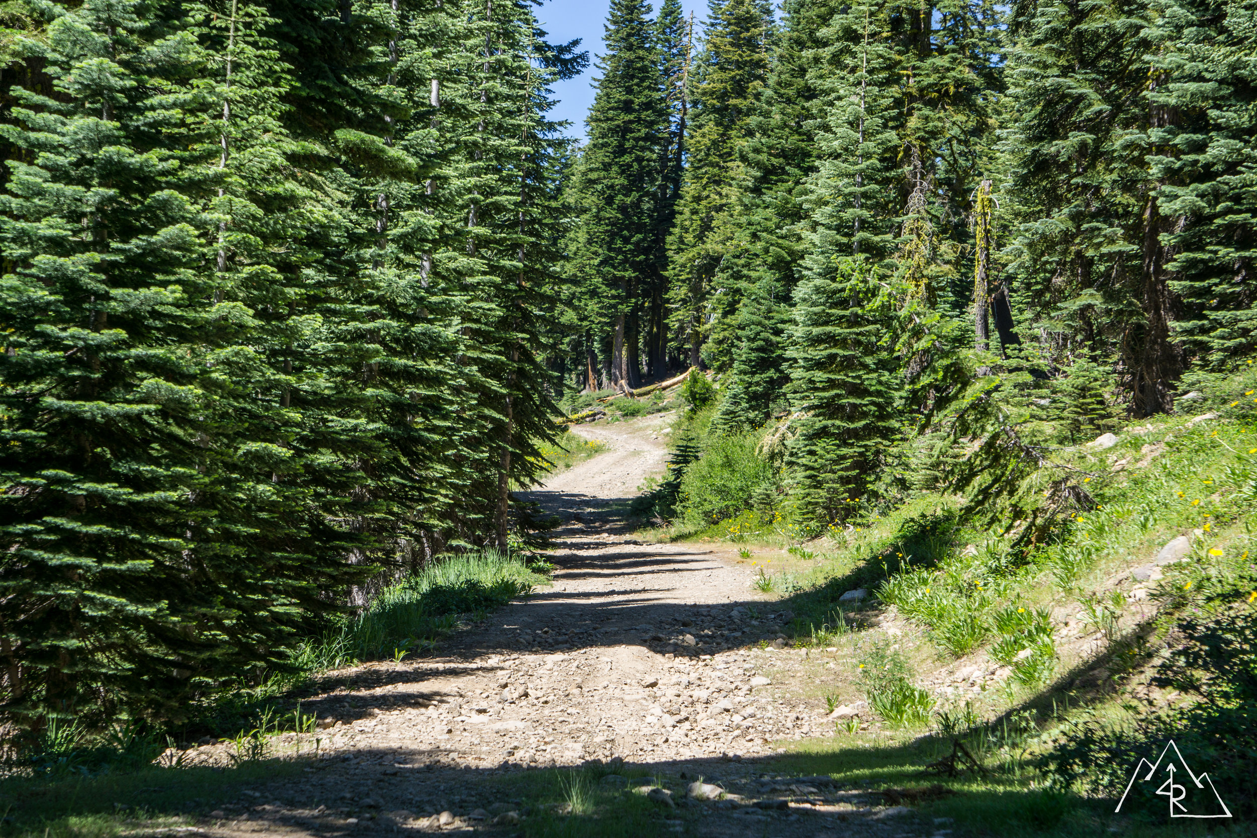SierraExplore0717-112.jpg