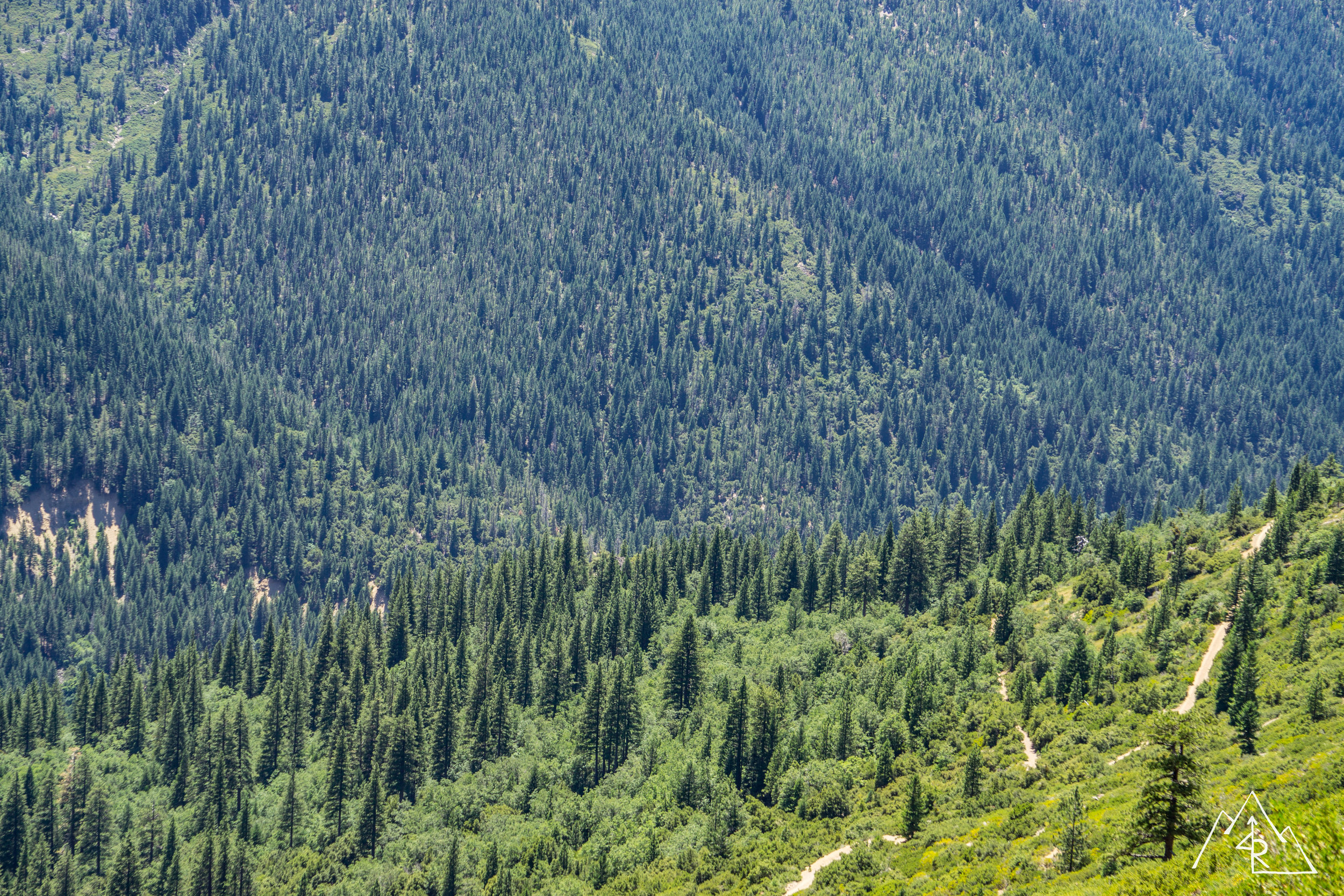SierraExplore0717-126.jpg