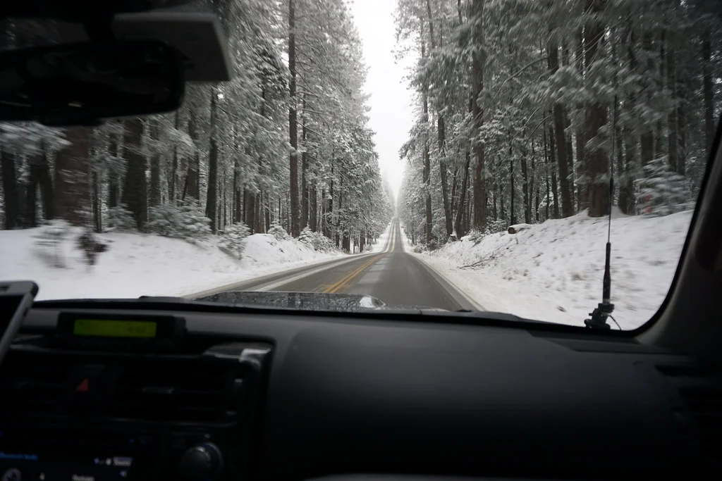 Winter8.jpg