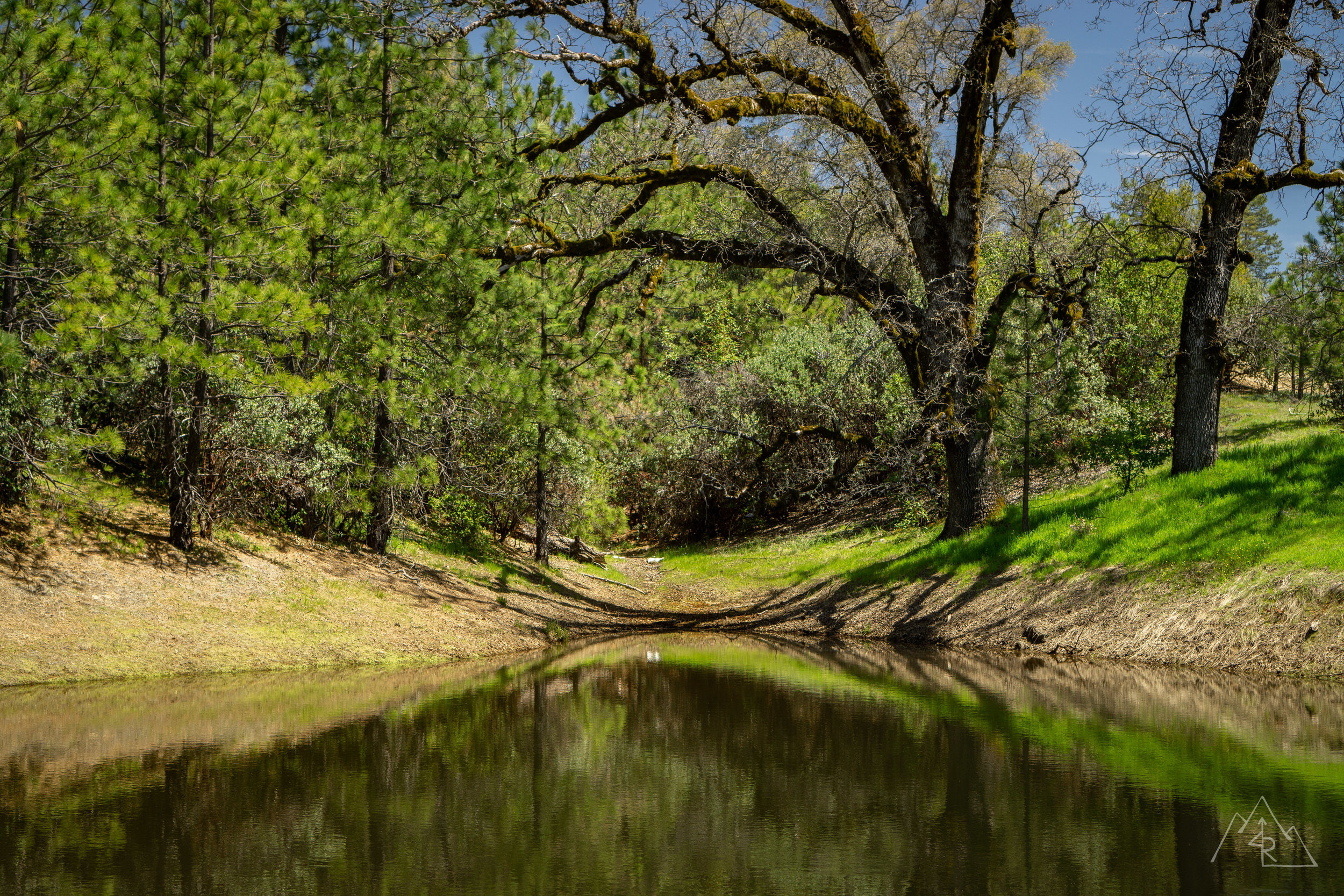 Big Sur 042019-8.jpg