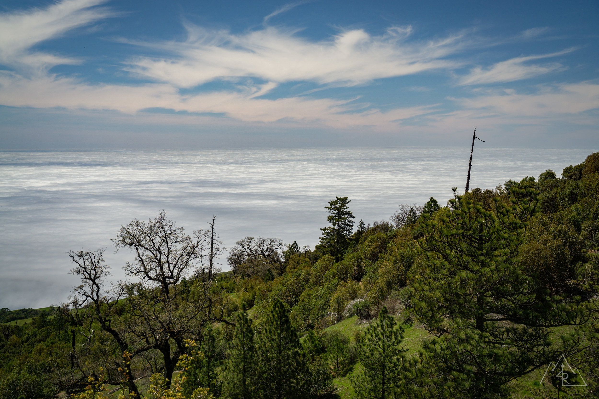 Big Sur 042019-11.jpg