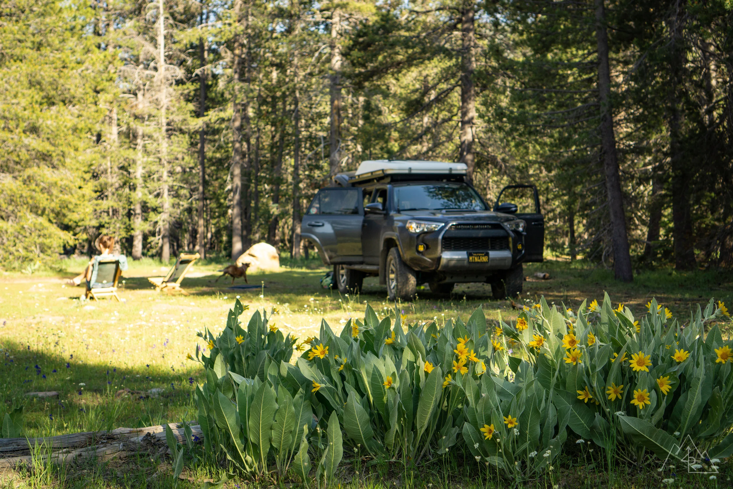 Mosquito Camping July 2019 — Explore4R