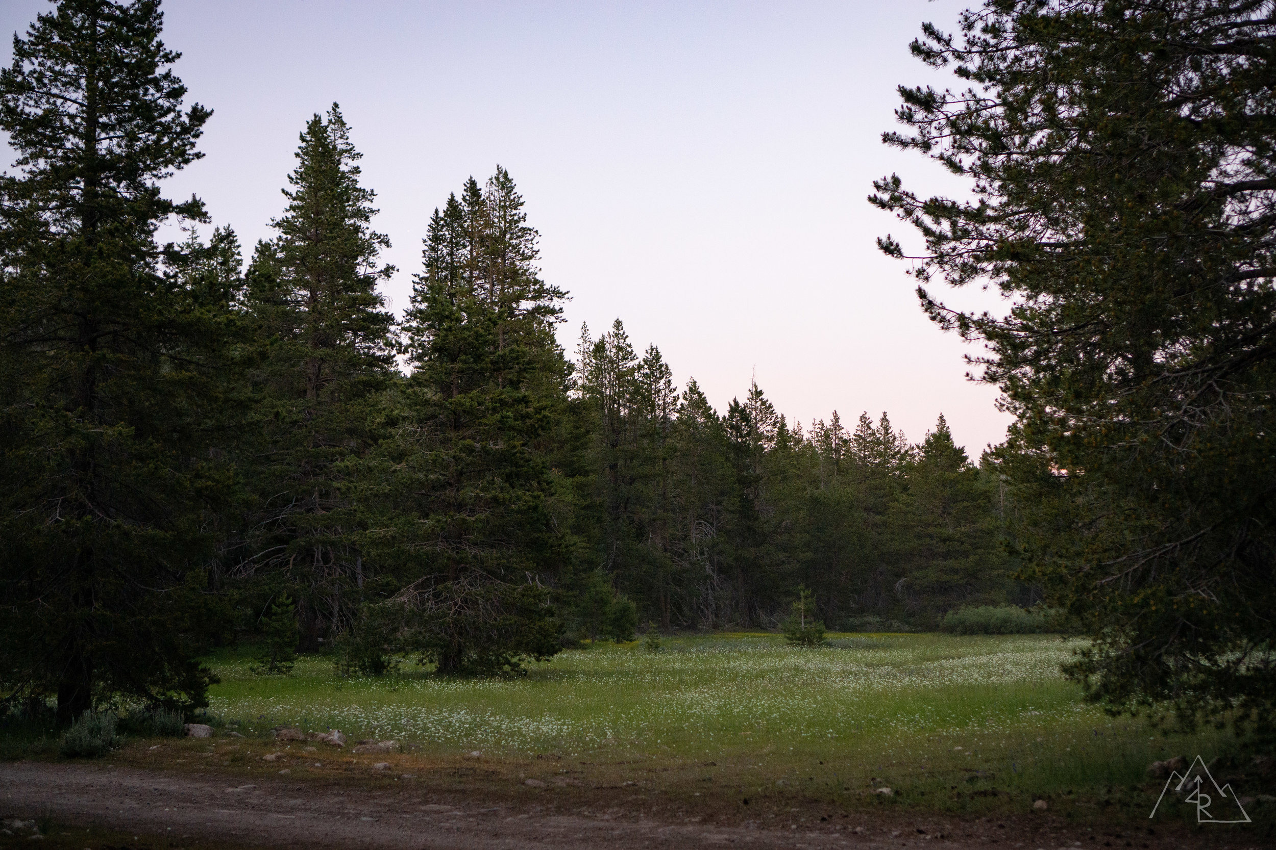 MosquitoCamping_072019-65.jpg