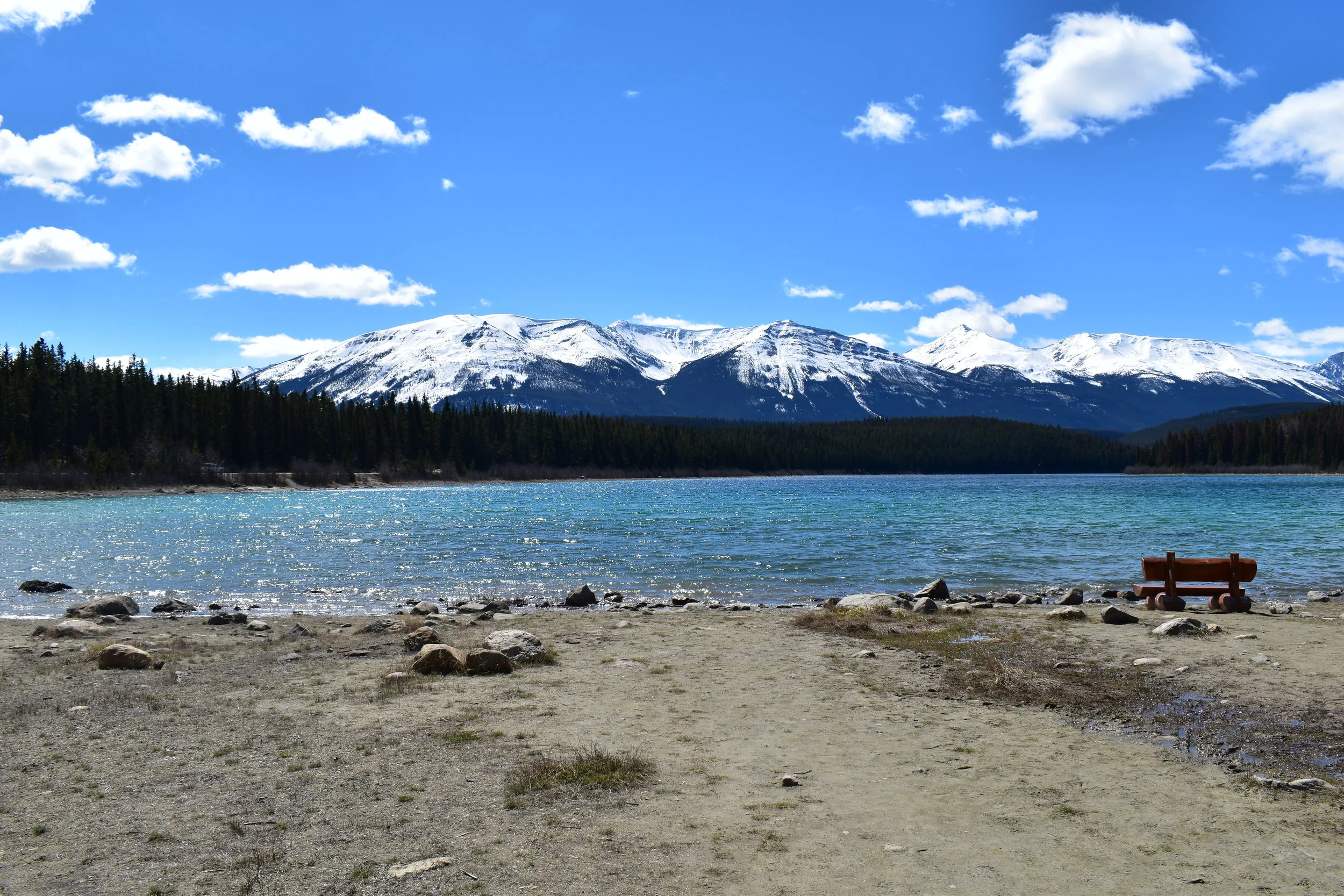 Jasper Has My Heart Wanderlust Oky