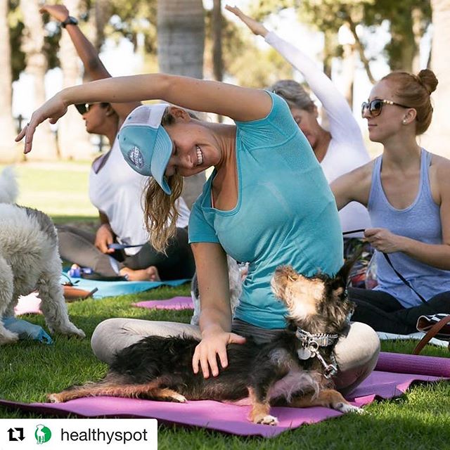 Here we go again...we're back at Palisades Park on February 12th thanks to Healthy Spot.  @healthyspot @alwaysierra!  These classes at the park are #pawsome!  Remember: all #doggies must be on a leash; no treats or food... only water for the dogi's &