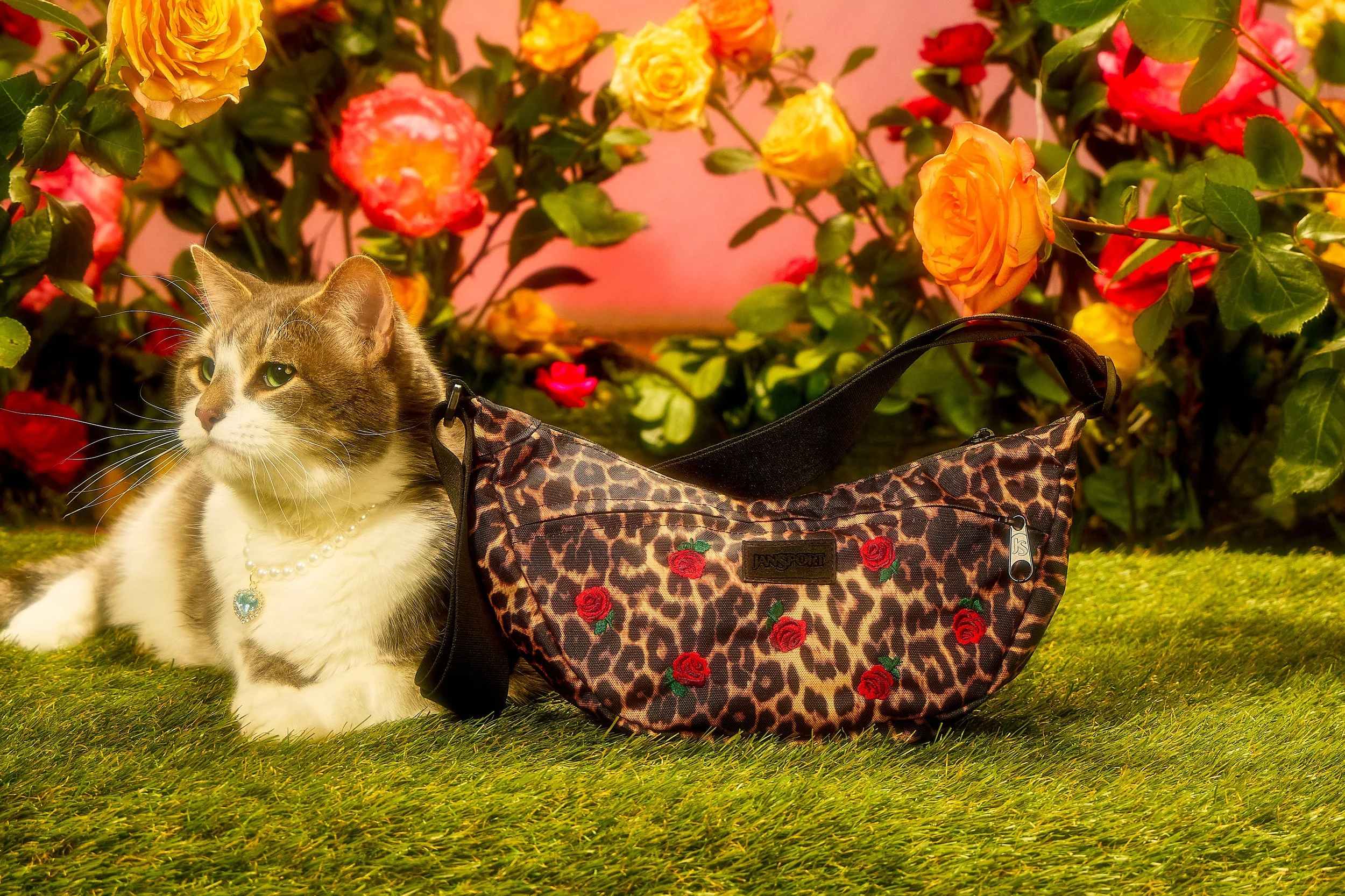 JanSport_Valentines_11-6-252415-Crossbody-Leopard-2 2.jpg