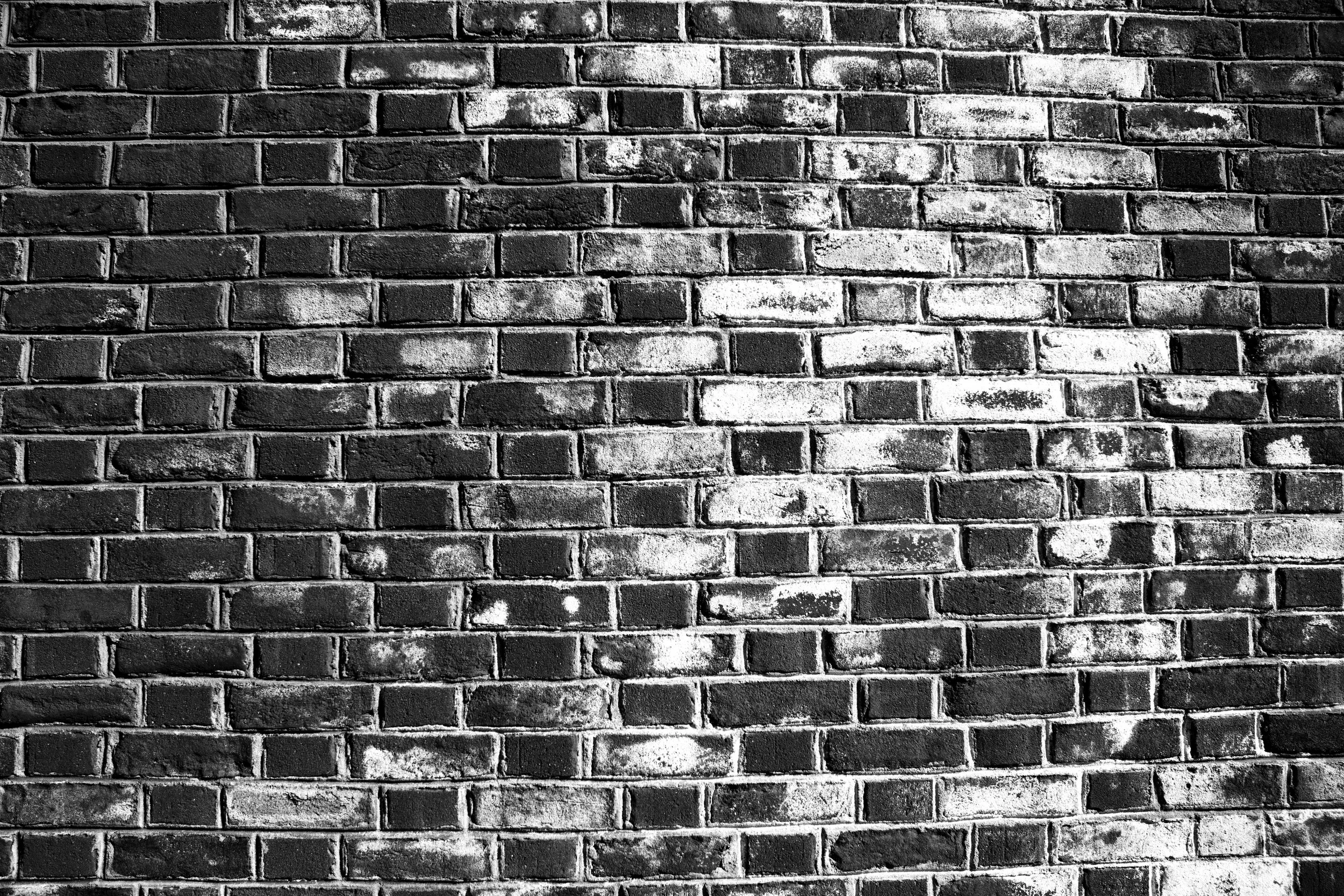 IMG_9630_bw.jpg