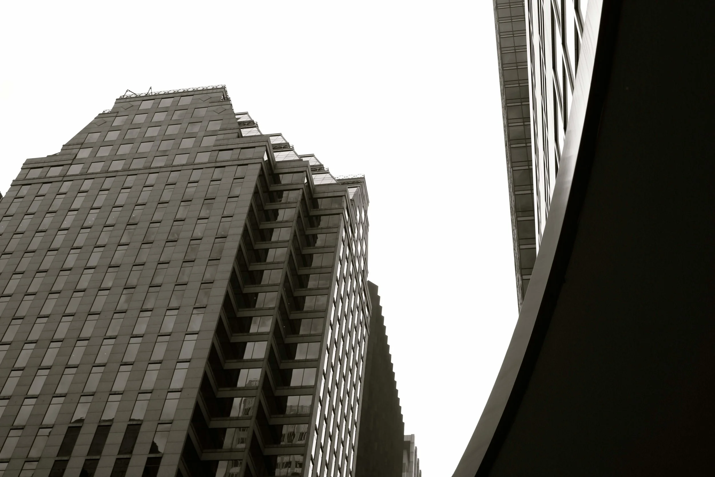 MOMA 2