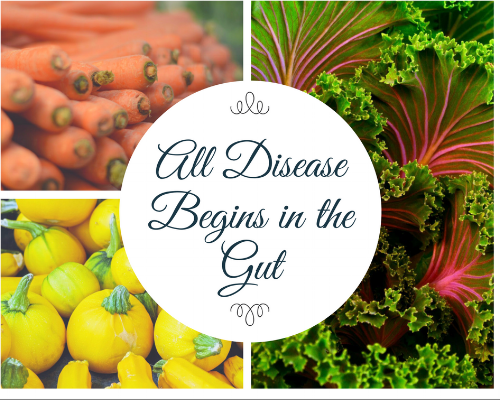 All-Disease-Begins-in-the-Gut.png