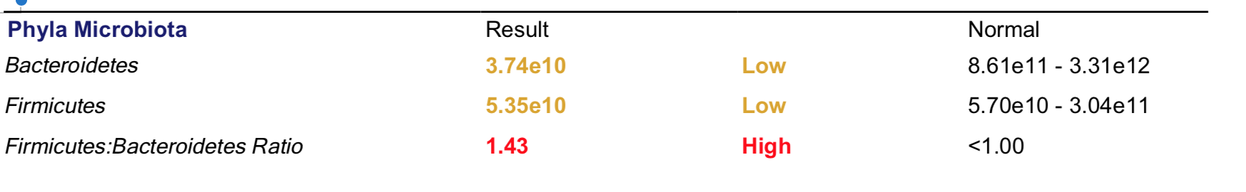 Screen Shot 2018-05-22 at 8.25.07 AM.png