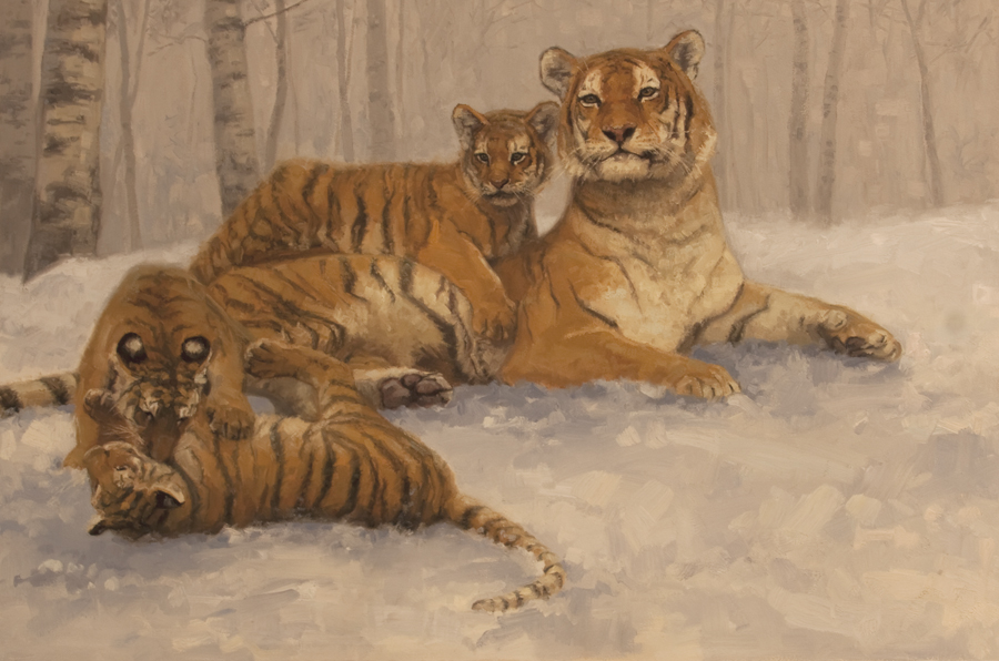 Siberian Tigers  20x30.jpg