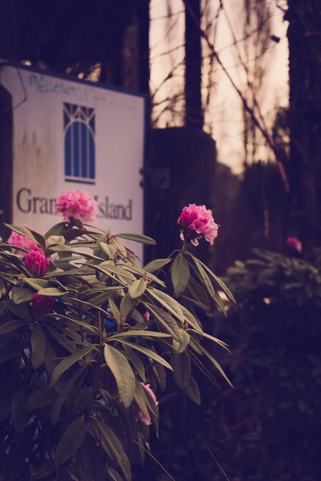 Exploring Vancouver: Granville Island