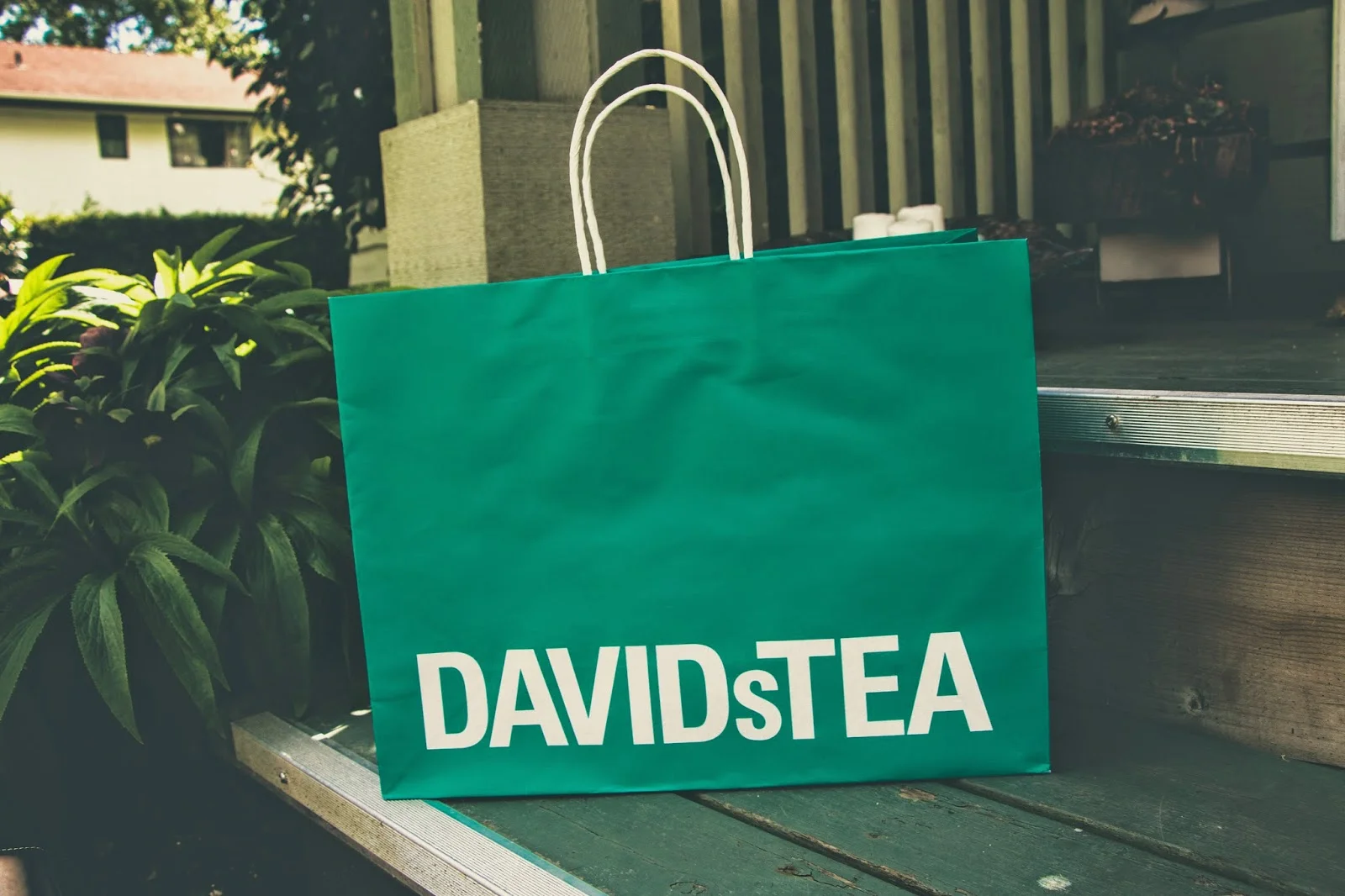 David's Tea Summer Collection
