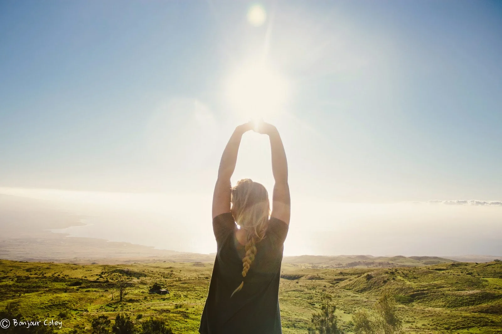 2015 | Reflections and Update