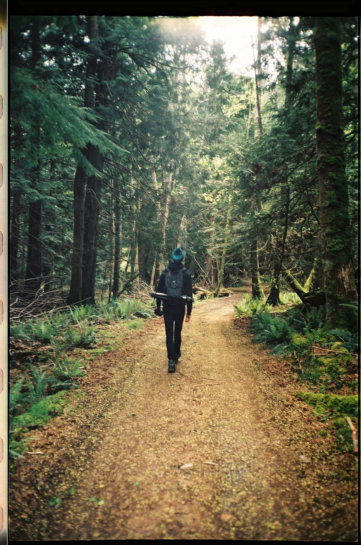 Jules walking the trails.