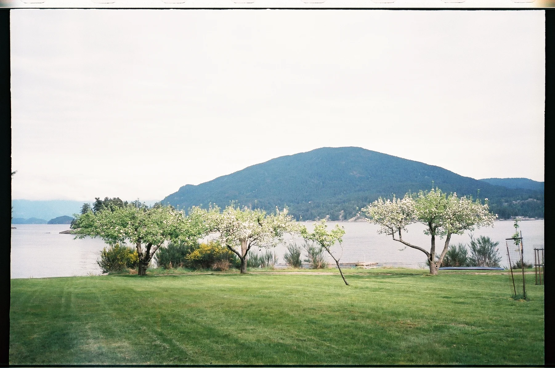 The view from the orchard overlooking Bowen Island.
