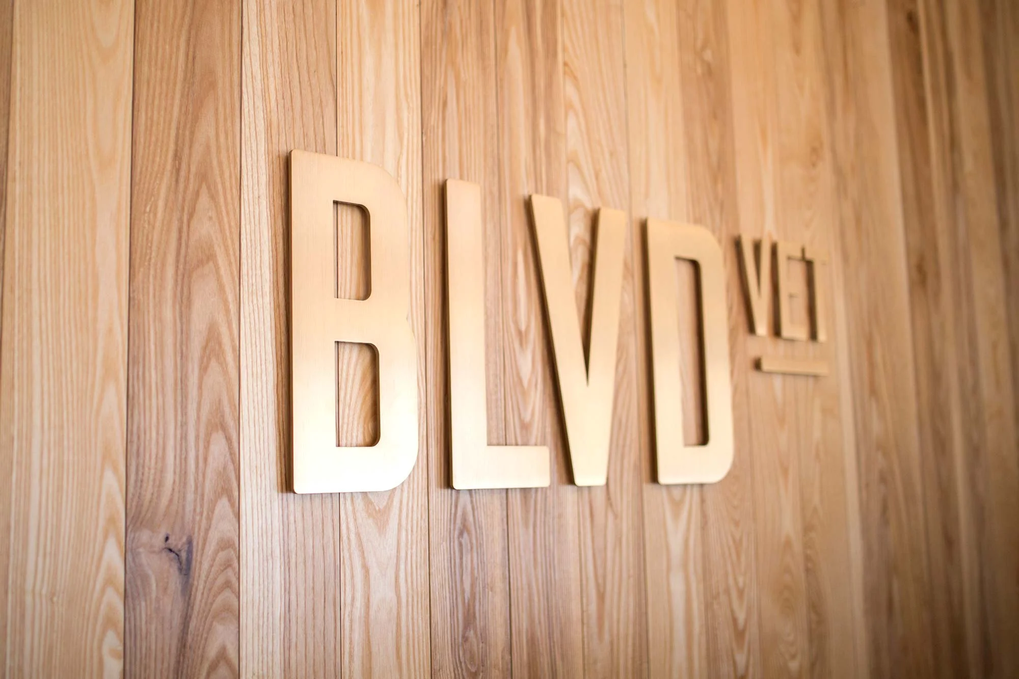 StudioMalt_BLVD_Vet_16.jpg