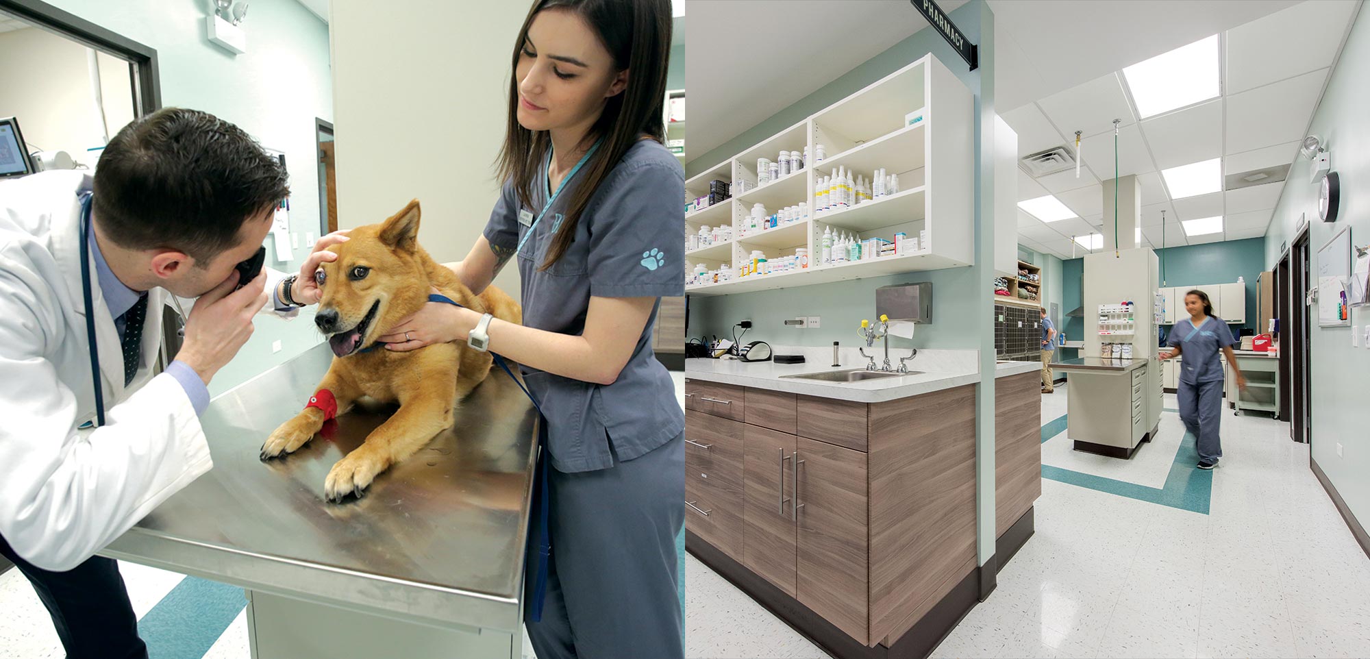 StudioMalt_BLVD_Vet_17.jpg