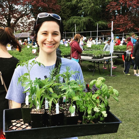 Cassy's haul from Seattle Tilth's annual plant sale