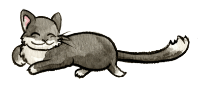 cat_gif.gif