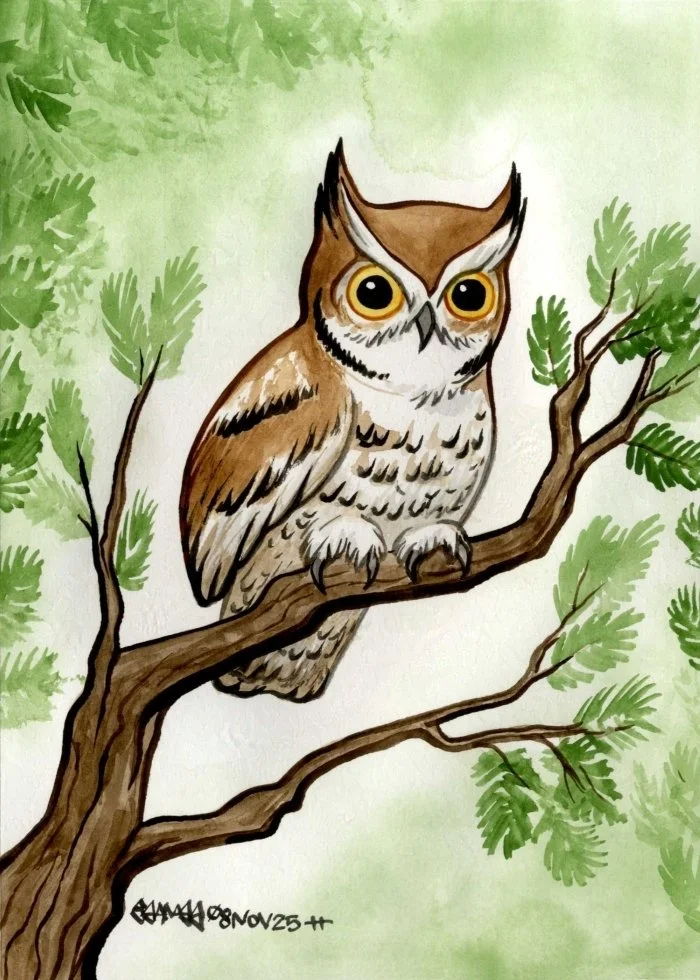 "Eastern Screech Owl", 2025