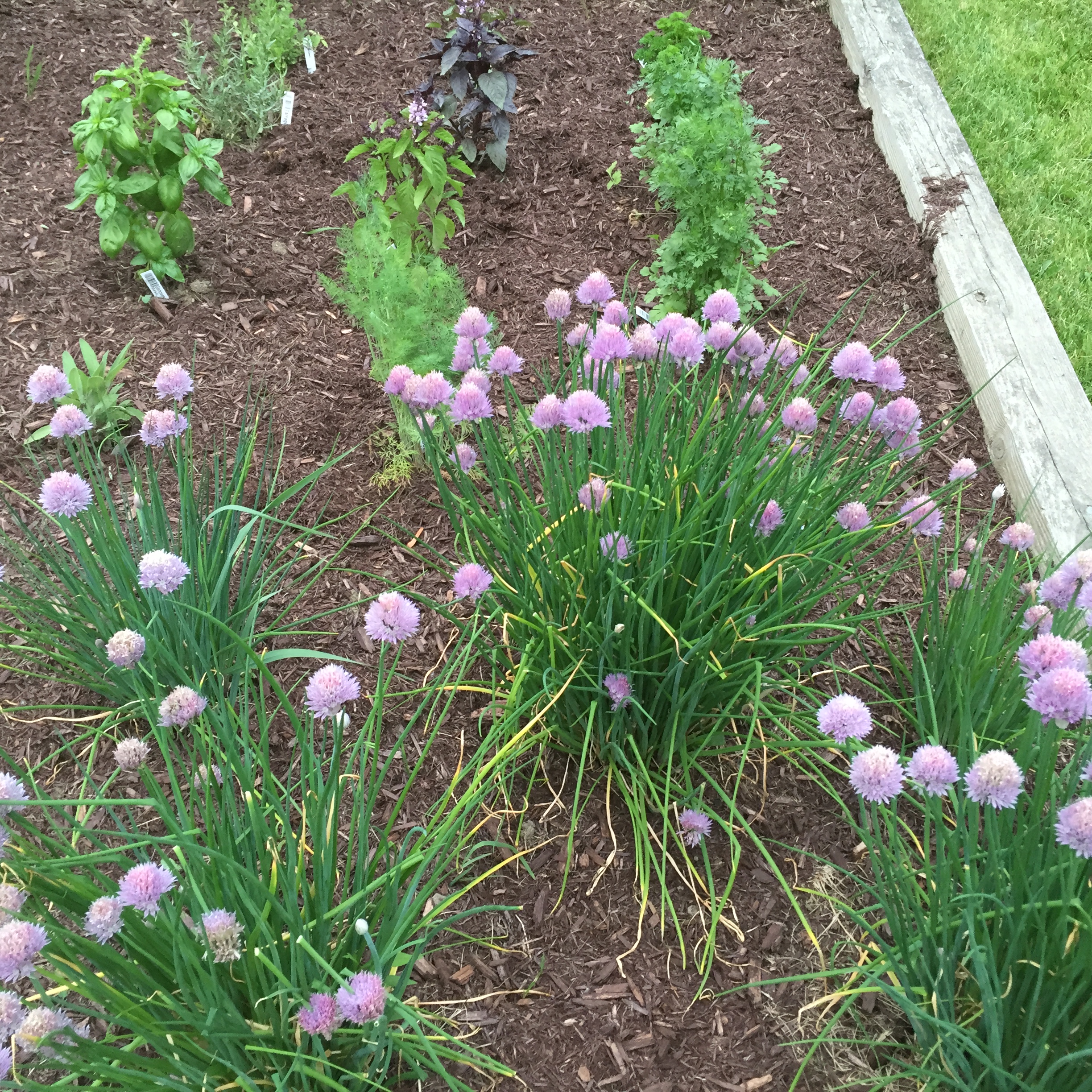 2016-06-03 19.51.26.jpg
