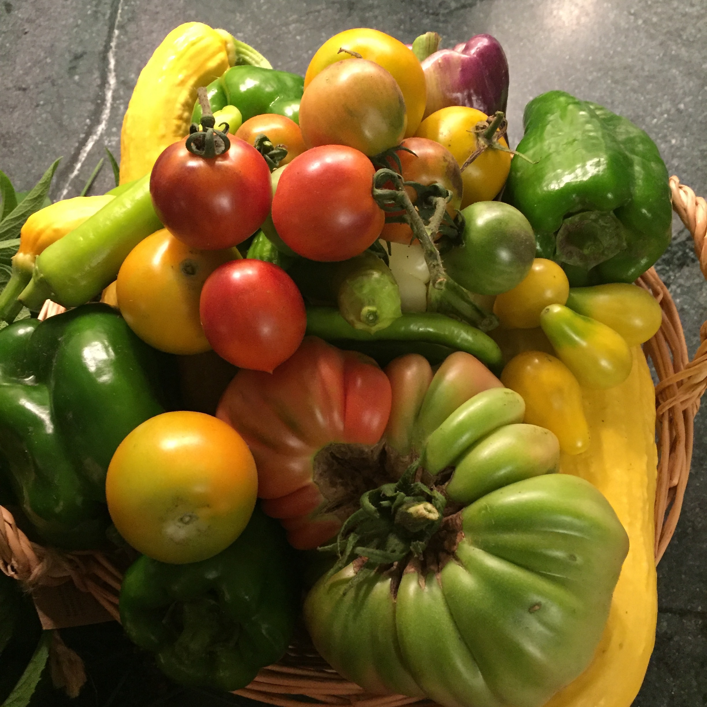 2016-07-20 20.29.19.jpg