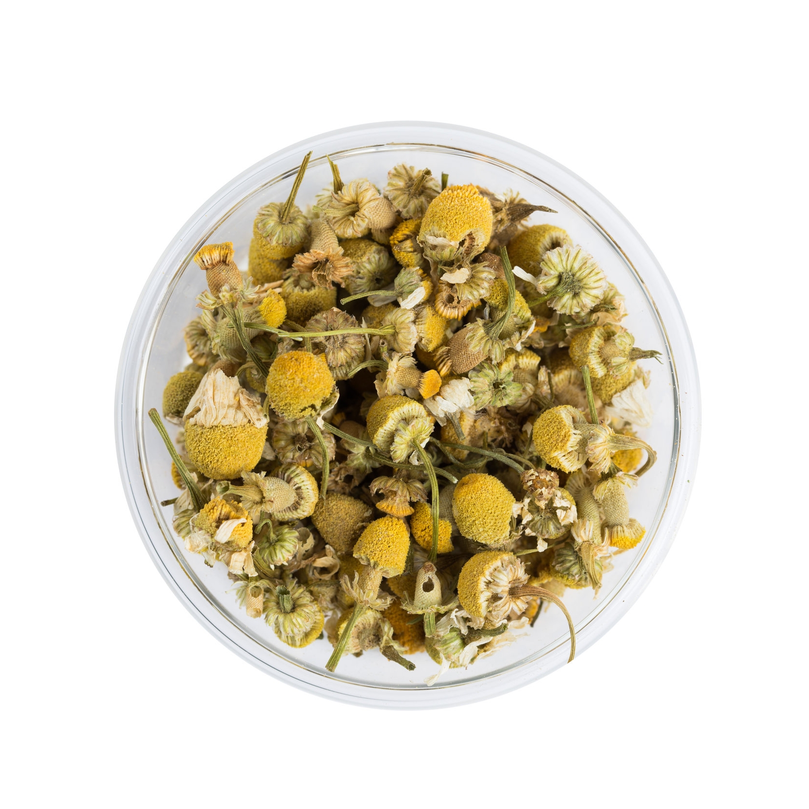 LoneOakFarm_Chamomile_WHITE.jpg