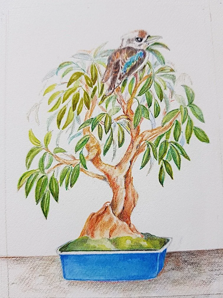 GOST_Mignon Atkinson_Kookaburra in Little Guntree_10 x10_low res.jpg