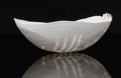   &nbsp;&nbsp;&nbsp;&nbsp;&nbsp;&nbsp;&nbsp;&nbsp;&nbsp;&nbsp;&nbsp;&nbsp; &nbsp; &nbsp; &nbsp;&nbsp;&nbsp;&nbsp;&nbsp;&nbsp;&nbsp; precarious , 2017, photographer: brenton mcgeachie 