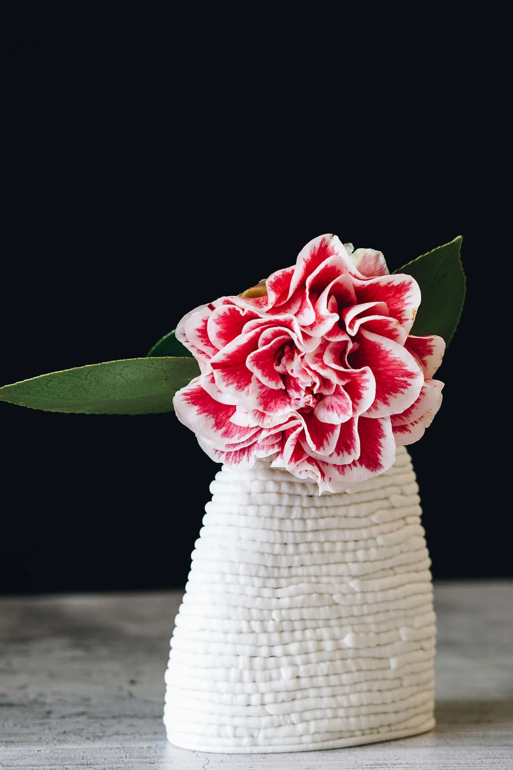 Julie Pennington slider 2.jpg