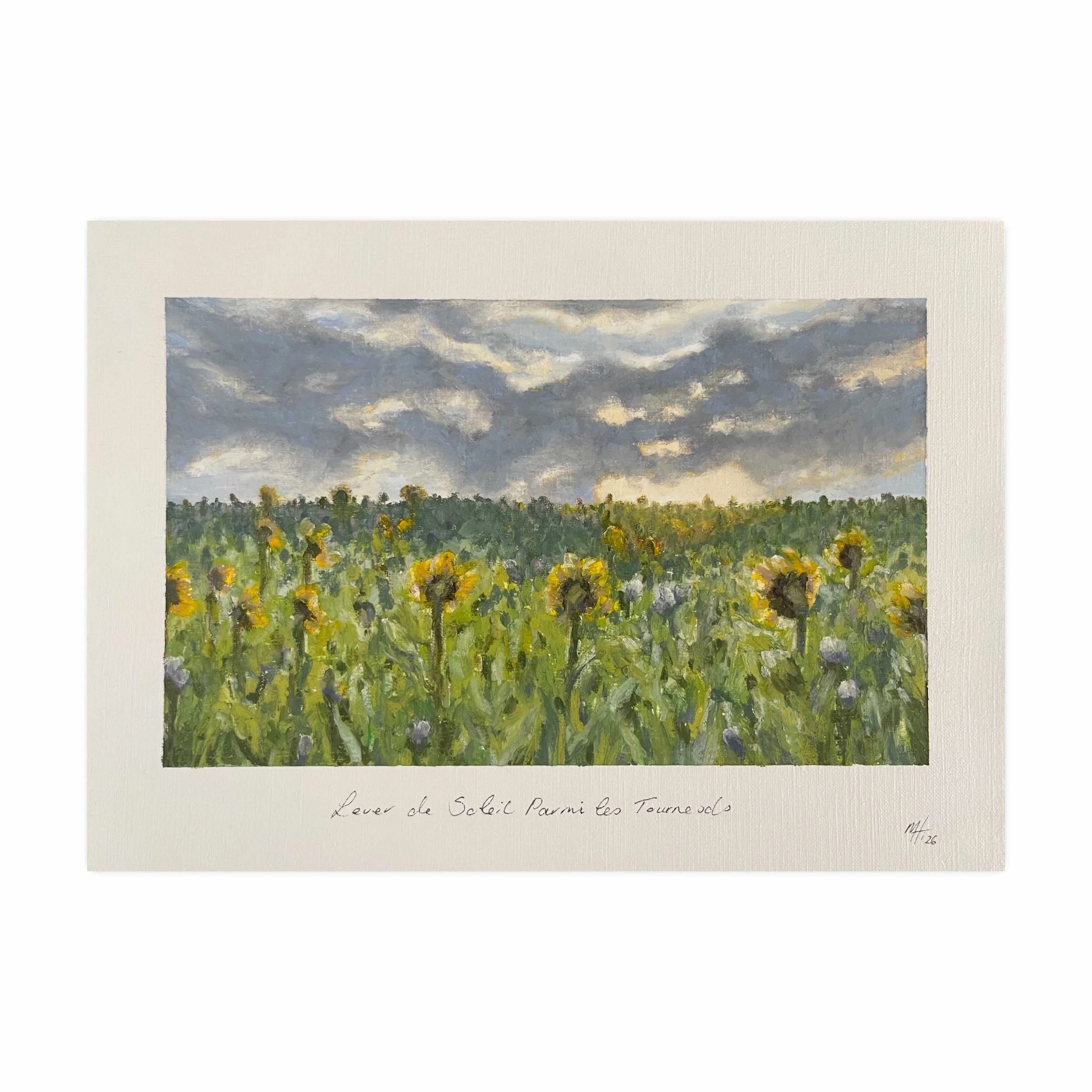 Melissa Hammond | Lever de Soleil Parmi les Tournesols, Sunrise Among the Sunflowers