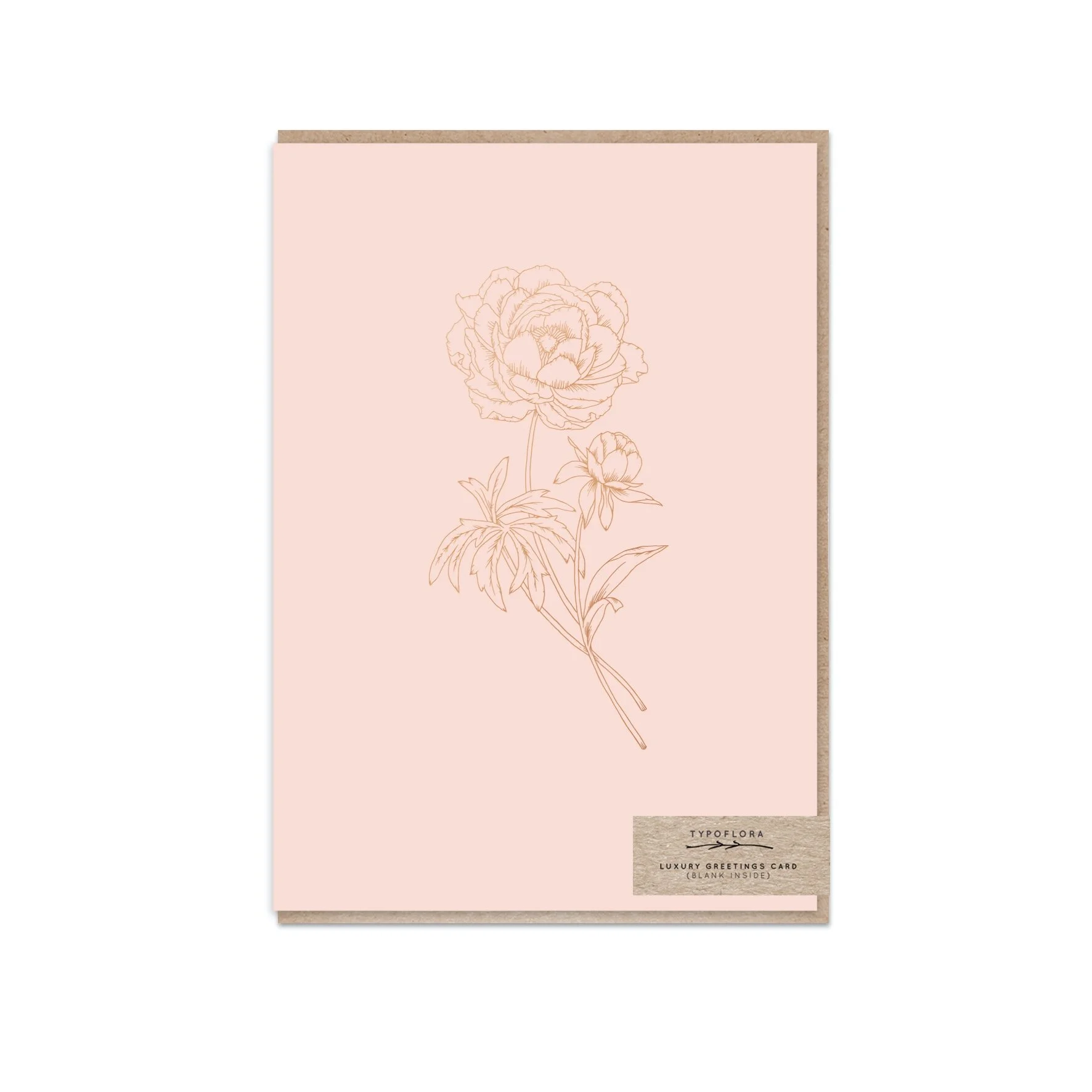GOST_Typoflora_T2011_Blush Peony.jpg