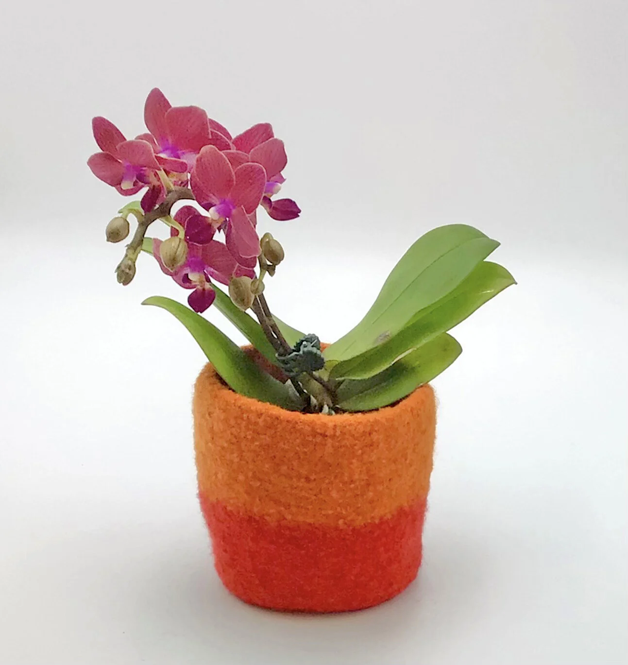 GOST_dot design_pots 14_lifestyle shot_red range.jpg