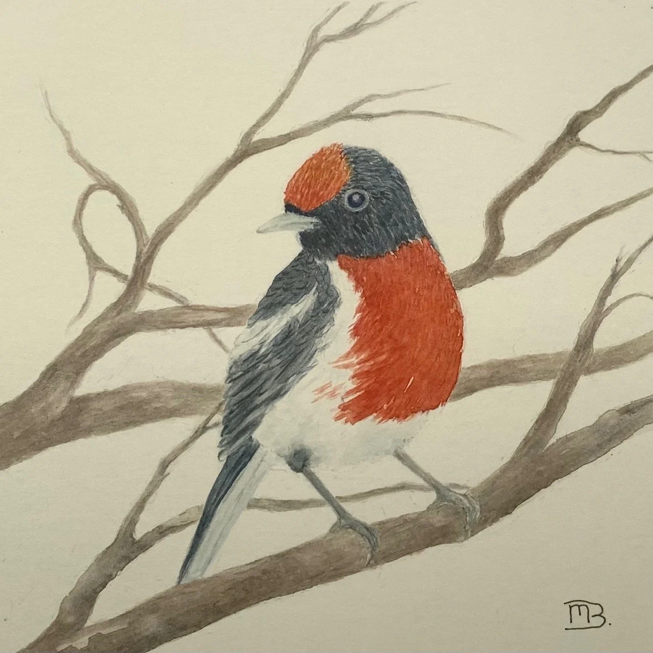 GOST_Margaret Brice_Scarlet Robin.jpg