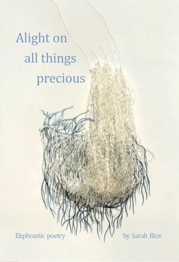 Dr Sarah Rice talk at CMAG.jpg