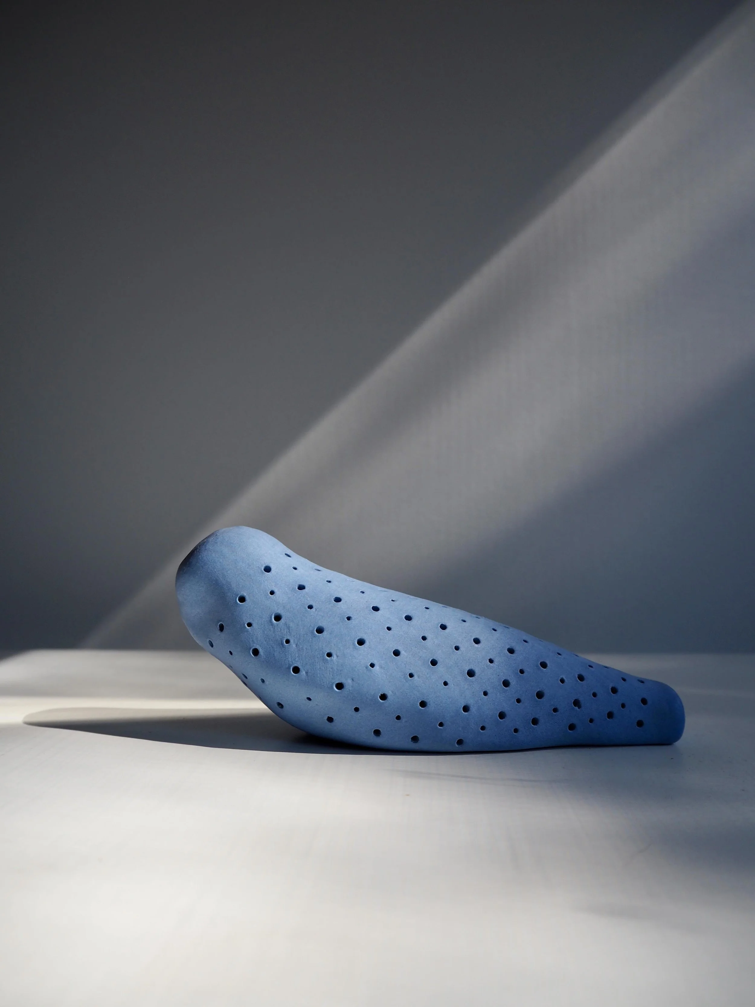 AMPM Ceramics_Blue Bird_low res.jpeg