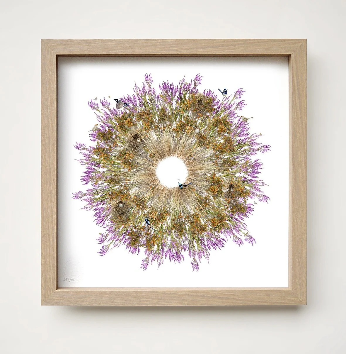 GOST_Jason McDonald_Superb Fairy Wrens_framed_low res.jpeg