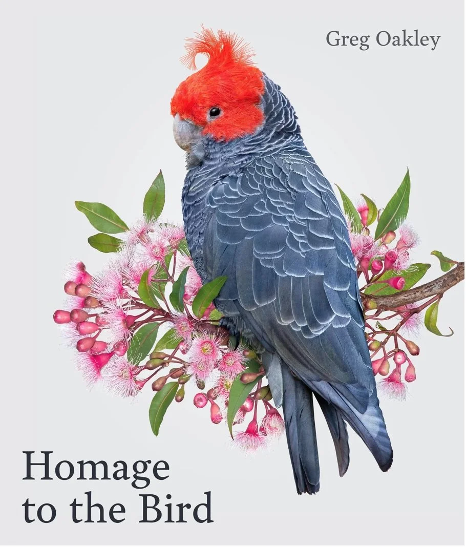Homage to the Bird  | Annual Group Exhibition