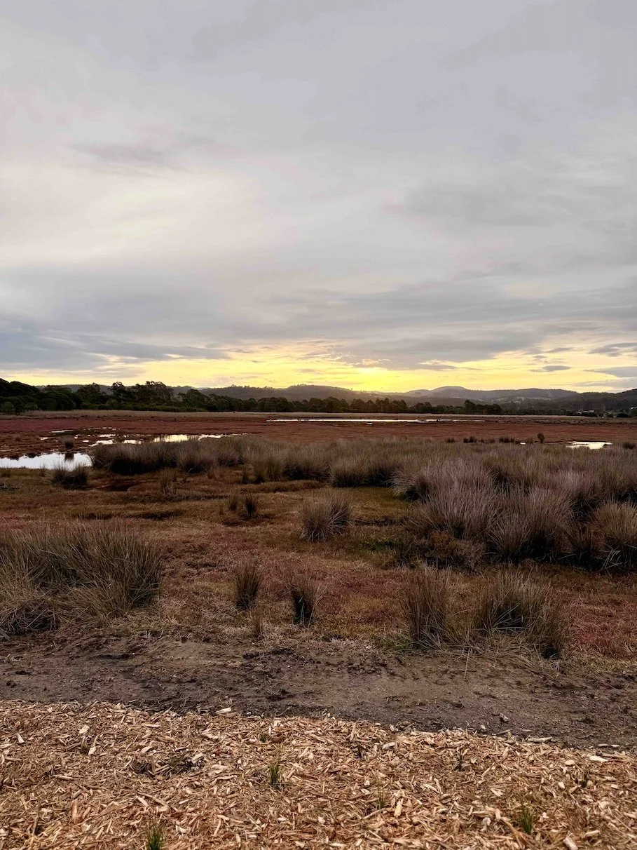 Sunset at Panboola Wetlands 
