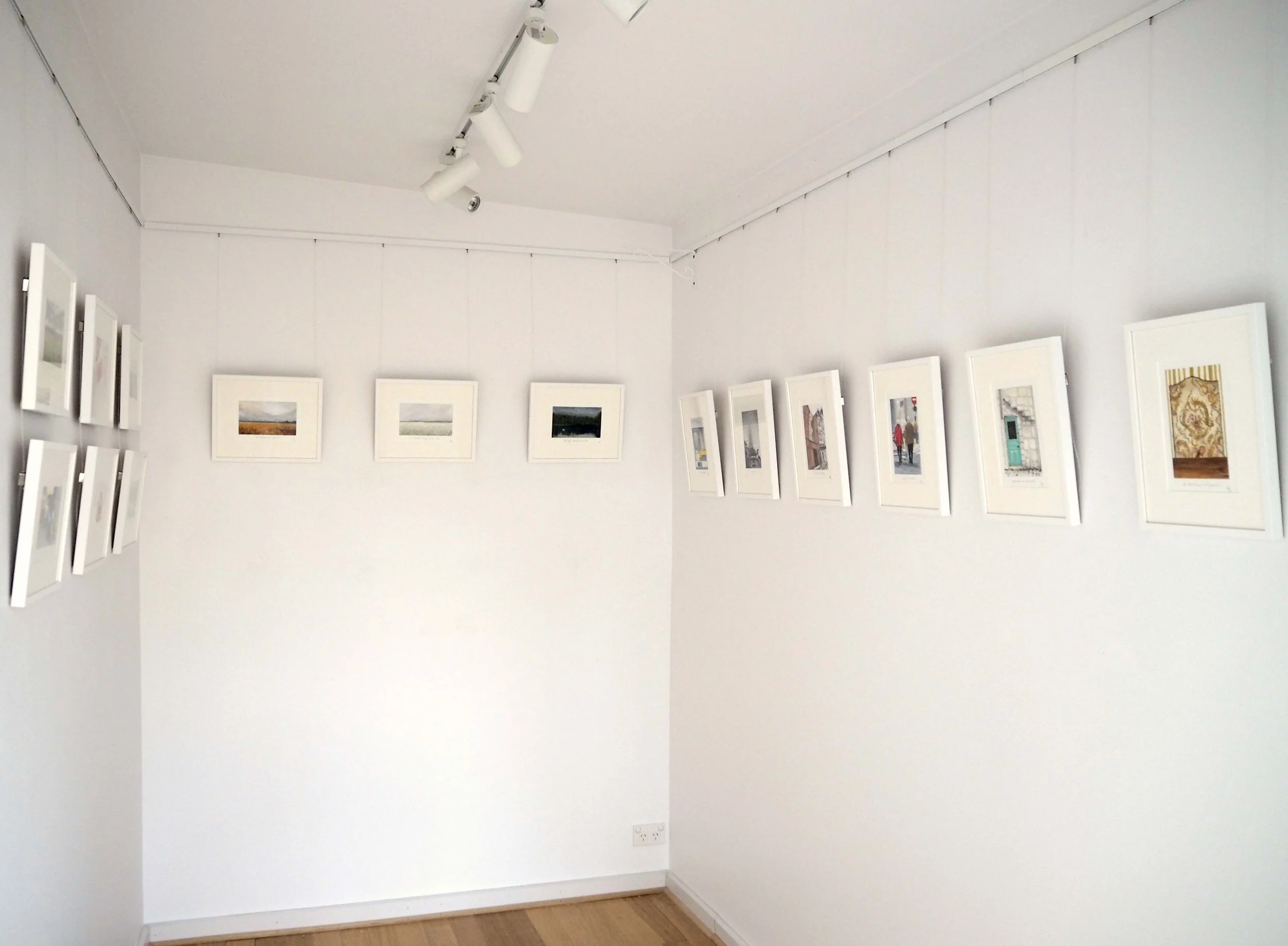 GOST_Melissa Hammond_landscape_in the gallery.jpg