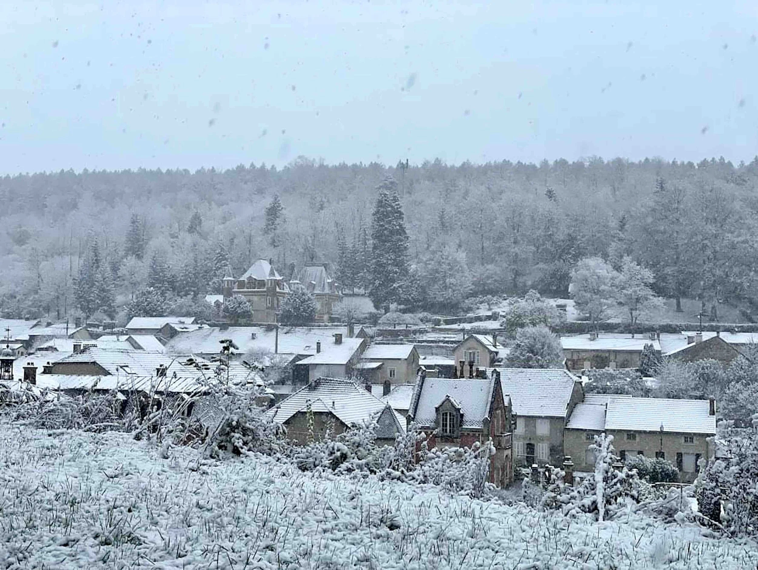 GOST_Melissa Hammond_Snow at Orquevaux_low res.jpg