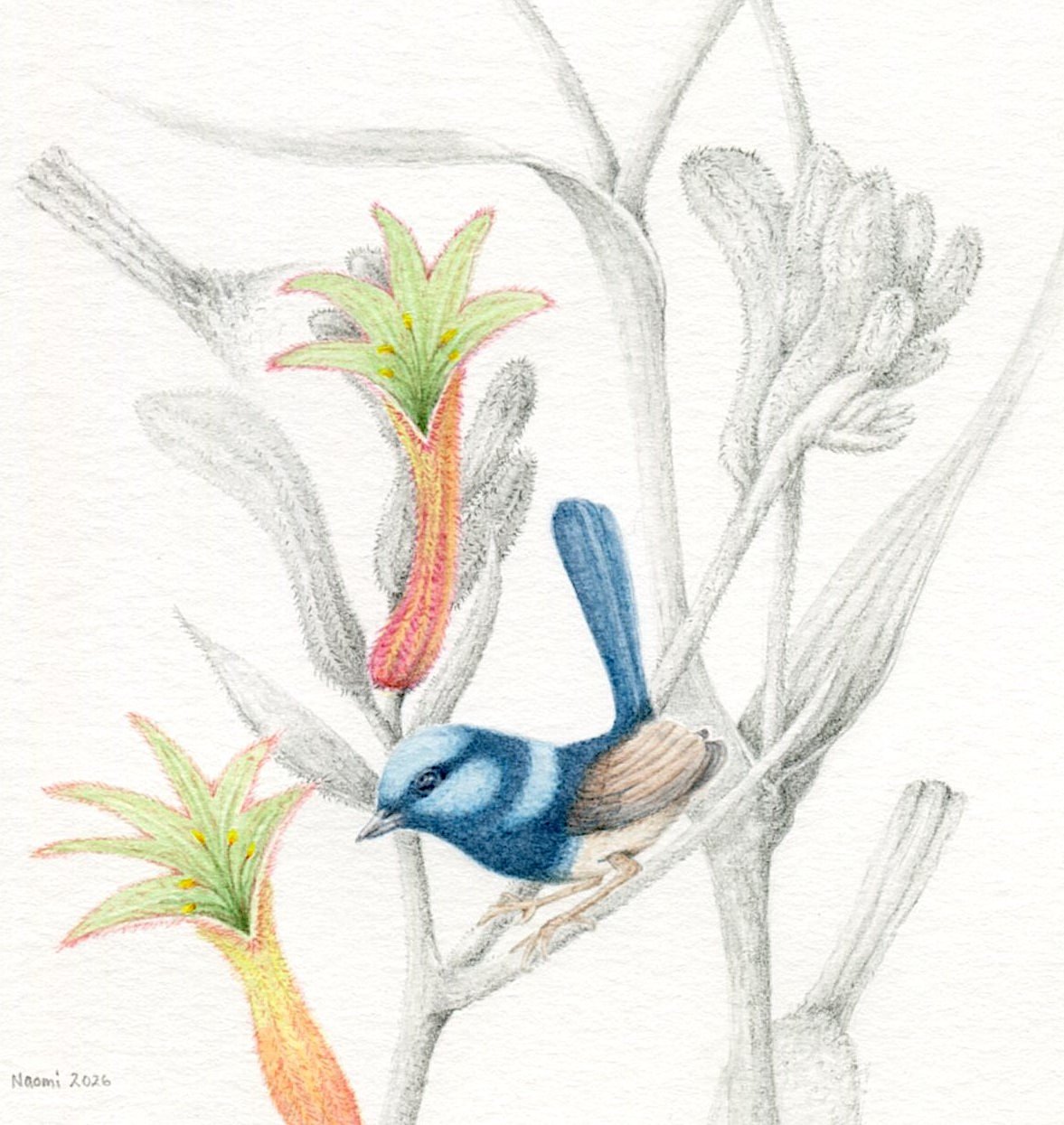 GOST_Naomi Nellie_Trill seekers 2_10x10 .jpg