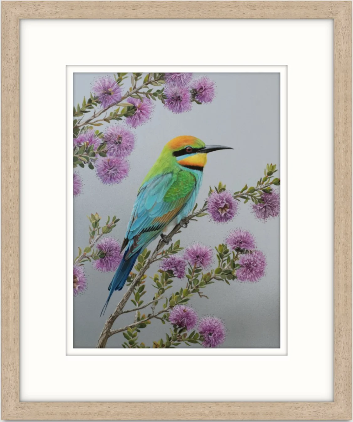 GOST_Greg Oakley_Rainbow Bee-eater_FRAMED_low res.jpeg