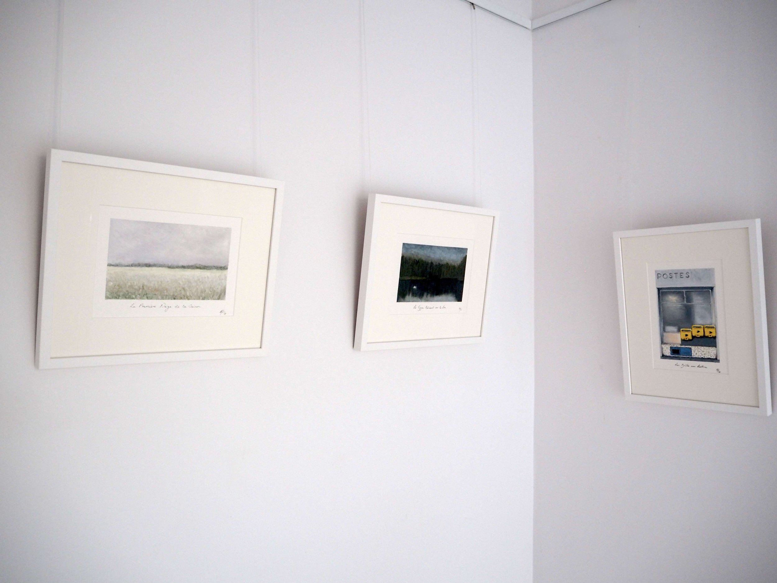 GOST_Melissa Hammond_RHS Corner_in the gallery.jpg