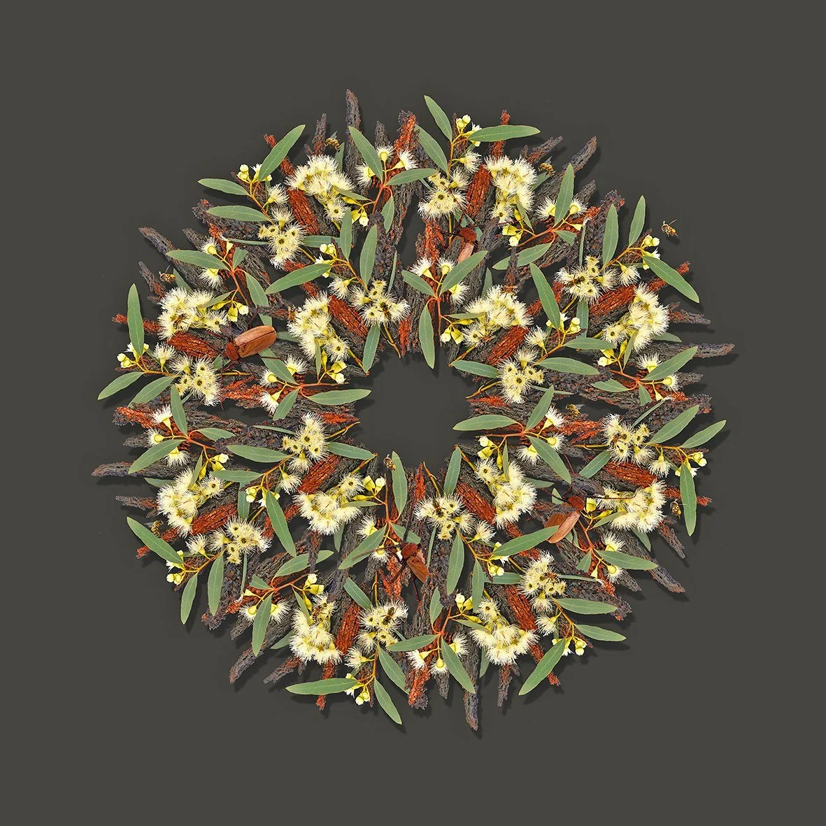 GOST_Jason McDonald_Ironbark_unframed_low res.jpg